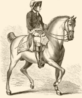 Entwicklung der Reitweisen und Hilfengebung