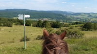 Wanderritt in der Rhön